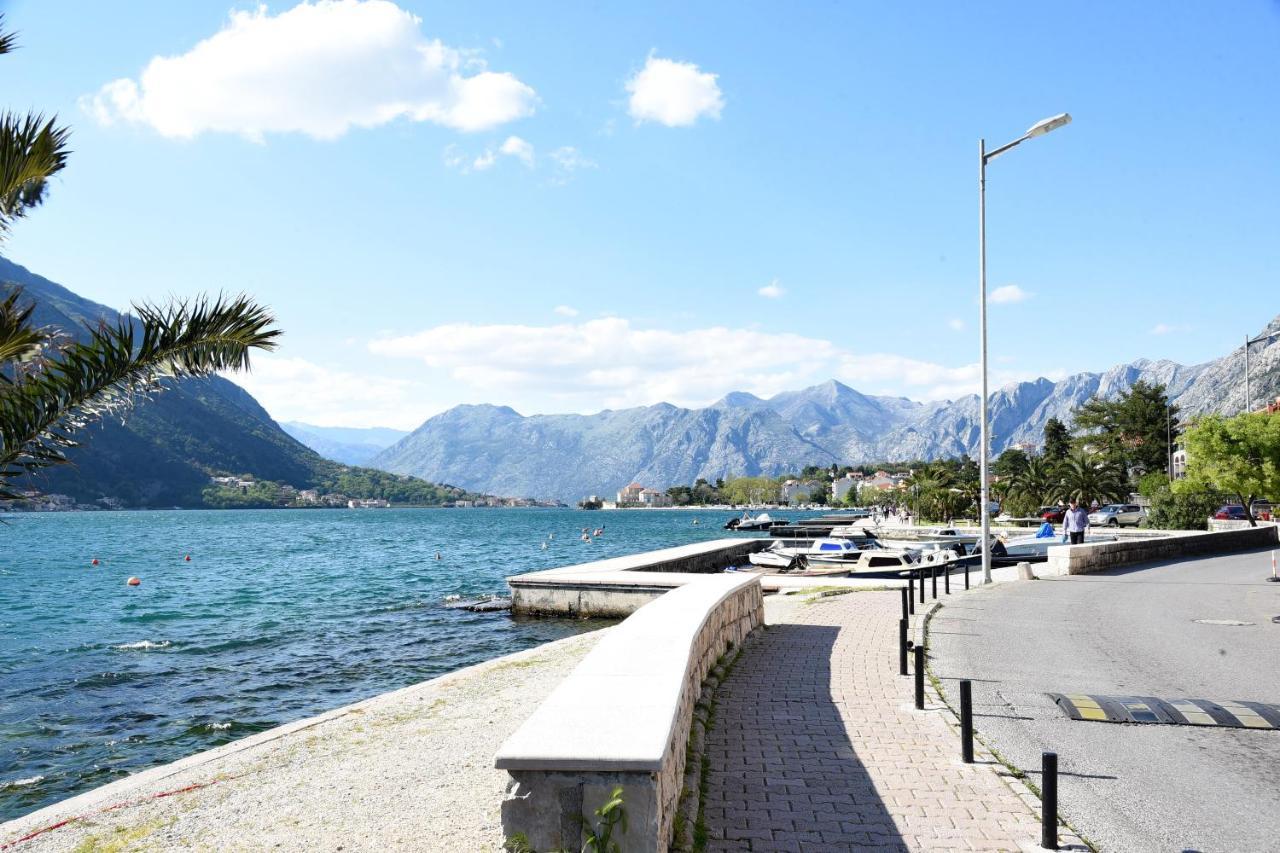 F&m Kotor